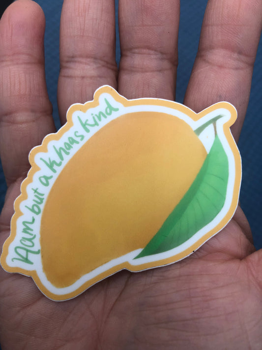 Aam but khaas kind, urdu sticker, vinyl sticker, weather proof ,